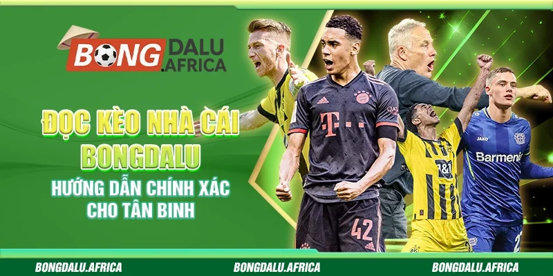 Đọc Kèo Nhà Cái Bongdalu - Hướng Dẫn Chính Xác Cho Tân Binh
