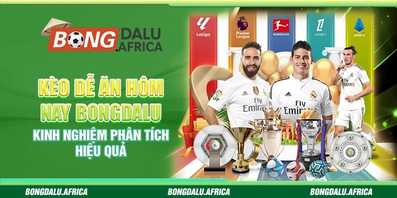 Kèo Dễ Ăn Hôm Nay Bongdalu - Bí Quyết Phân Tích Hiệu Quả