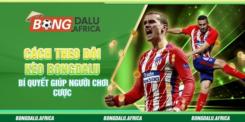 Cách Theo Dõi Kèo Bongdalu - Bí Quyết Giúp Người Chơi Cược