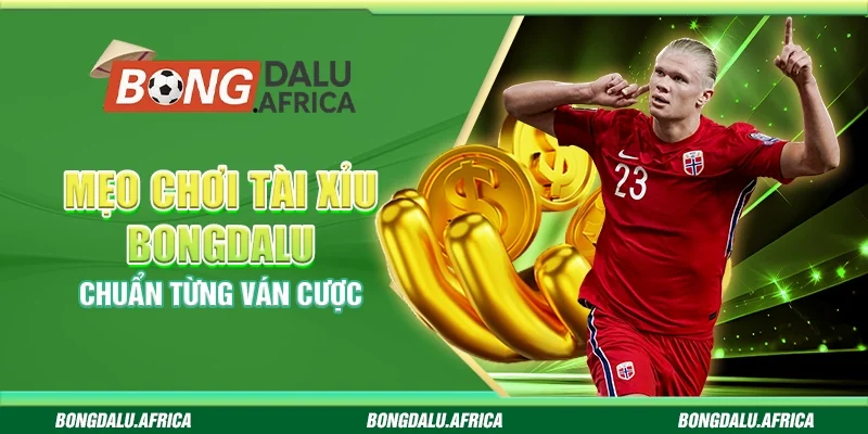 Mẹo Chơi Tài Xỉu Bongdalu - Chuẩn Từng Ván Cược