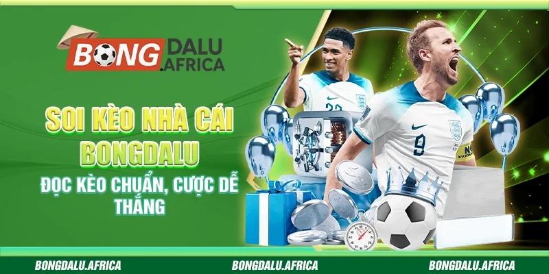 Soi Kèo Nhà Cái Bongdalu – Đọc Kèo Chuẩn, Cược Dễ Thắng