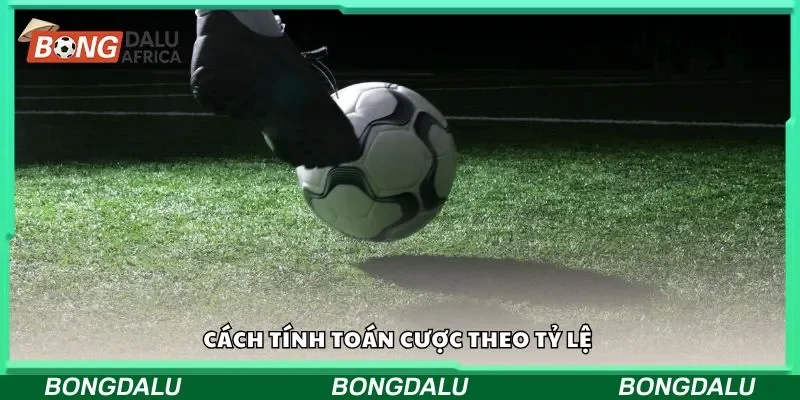 Cách tính toán cược theo tỷ lệ