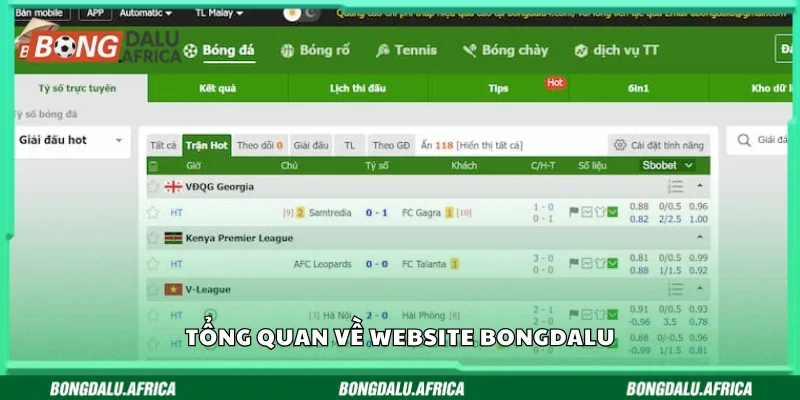 Tổng quan về website Bongdalu