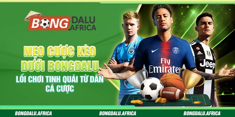 Mẹo cược kèo dưới Bongdalu - Mẹo giúp bạn càn quét ván cược