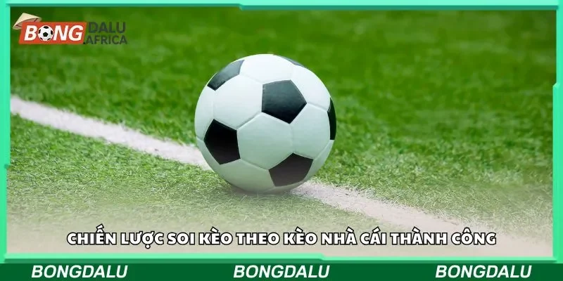 Tổng quan về soi kèo theo kèo nhà cái 