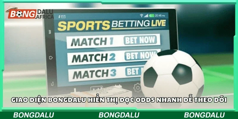 Giao diện Bongdalu hiển thị đọc odds nhanh dễ theo dõi