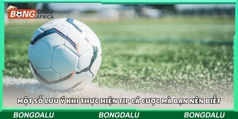 Một số lỗi sai khi thực hiện tip cá cược mà bạn nên biết