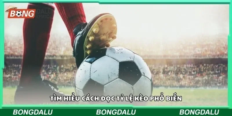 Tìm hiểu cách đọc tỷ lệ kèo phổ biến