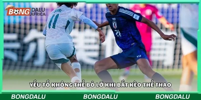 Yếu tố không thể bỏ lỡ khi bắt kèo thể thao