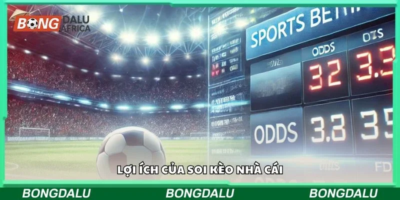 Chia sẻ cách soi tỷ lệ kèo bóng đá cơ bản tại nền tảng