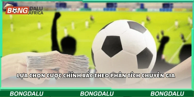 Lựa chọn cược chính xác theo phân tích chuyên gia